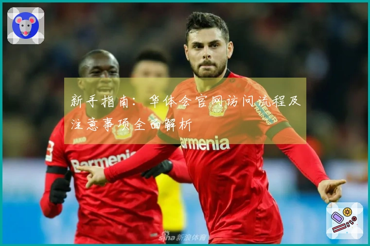 新手指南：华体会官网访问流程及注意事项全面解析
